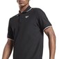 T-krekls Reebok Ri Polo fp9173 cena un informācija | Vīriešu T-krekli | 220.lv