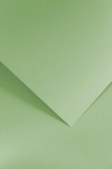 Teksturēts kartons Gladki, gaiši zaļš, 210 g, 20 lpp cena un informācija | Kancelejas preces | 220.lv