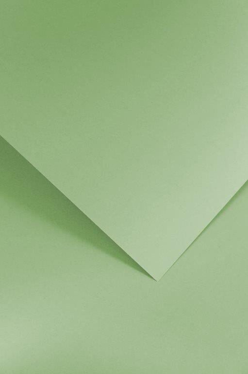 Teksturēts kartons Gladki, gaiši zaļš, 210 g, 20 lpp cena un informācija | Kancelejas preces | 220.lv