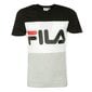 T-krekls Fila Day Tee M 681244i85 cena un informācija | Vīriešu T-krekli | 220.lv