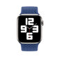 Beep S Watch Band Blue цена и информация | Viedpulksteņu un viedo aproču aksesuāri | 220.lv