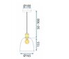 Piekaramā lampa APP1006-1CP WHITE U cena un informācija | Piekaramās lampas | 220.lv