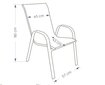 Polo dārza krēsls gaiši pelēks cena un informācija | Dārza krēsli | 220.lv