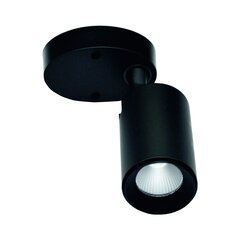 Griestu LED lampa 10W, 3000K, melna cena un informācija | Griestu lampas | 220.lv