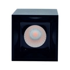 Светодиодный потолочный светильник 12Вт, 3000К, черный цена и информация | Потолочные светильники | 220.lv