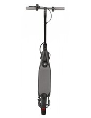 Elektriskais skrejritenis Segway Ninebot KickScooter F20D цена и информация | Электросамокаты | 220.lv