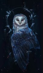 Алмазная мозаика синяя сова 30х50 см цена и информация | Алмазная мозаика | 220.lv