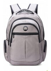 Рюкзак Delsey Element Backpacks 15.6 цена и информация | Рюкзаки, сумки, чехлы для компьютеров | 220.lv