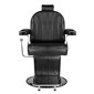 Profesionāls friziera krēsls Hair System SM138, melns цена и информация | Mēbeles skaistumkopšanas saloniem | 220.lv