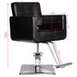Profesionāls friziera krēsls Hair System HS91, melns cena un informācija | Mēbeles skaistumkopšanas saloniem | 220.lv