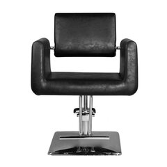 Profesionāls friziera krēsls Hair System SM313, melns цена и информация | Мебель для салонов красоты | 220.lv