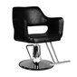 Profesionāls friziera krēsls Hair System SM339, melns цена и информация | Mēbeles skaistumkopšanas saloniem | 220.lv
