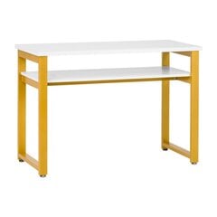 Профессиональный маникюрный стол 17G WHITE цена и информация | Мебель для салонов красоты | 220.lv