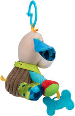 Подвесная игрушка с жевалкой Собачка Dumel цена и информация | Игрушки для малышей | 220.lv