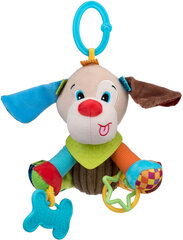 Подвесная игрушка с жевалкой Собачка Dumel цена и информация | Игрушки для малышей | 220.lv