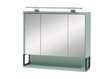 Skapītis ar spoguli ar LED apgaismojumu Limone, piparmētru zaļš cena un informācija | Vannas istabas skapīši | 220.lv