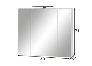 Зеркальный шкаф с LED-светильником Limone, белый цена и информация | Шкафчики для ванной | 220.lv