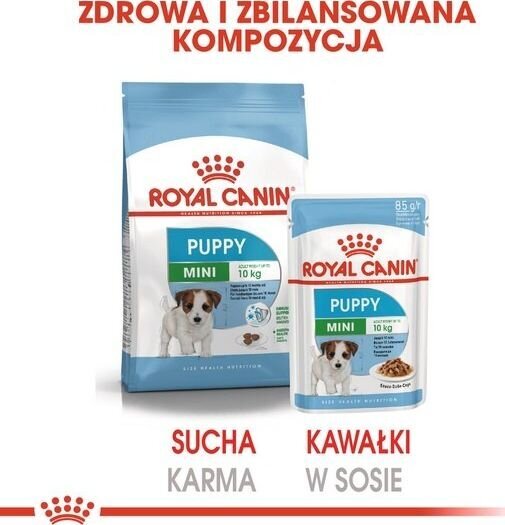 Royal Canin SHN WET 85G mini puppy kucēniem цена и информация | Konservi suņiem | 220.lv