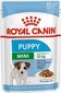 Royal Canin SHN WET 85G mini puppy kucēniem cena un informācija | Konservi suņiem | 220.lv