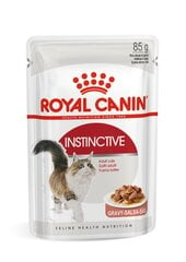 Royal Canin FHN WET 85Gx12 Instnktive in gravy kaķiem cena un informācija | Konservi kaķiem | 220.lv