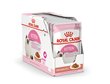 Royal Canin FHN WET 85Gx12 kitten instinktive gravy kaķēniem цена и информация | Konservi kaķiem | 220.lv