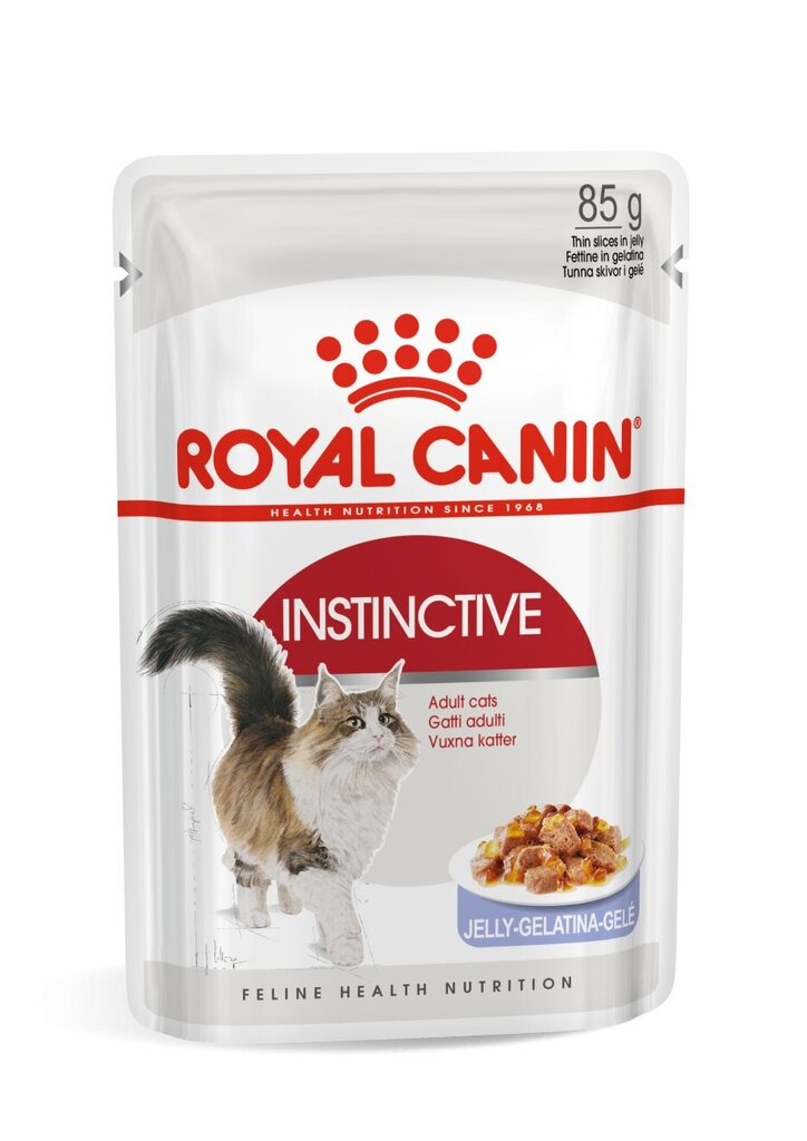 Royal Canin FHN WET 85G Instinctive in Jelly kaķiem цена и информация | Sausā barība kaķiem | 220.lv