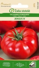 MINI LĀPSTIŅA AR KOKA ROKTURI цена и информация | Семена овощей, ягод | 220.lv