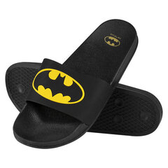 Soxo flip-flops baseinam pludmales vasarai Batman40-41 цена и информация | Мужские шлепанцы, босоножки | 220.lv