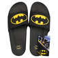 Soxo flip-flops baseinam pludmales vasarai Batman40-41 cena un informācija | Vīriešu iešļūcenes, čības, sandales | 220.lv