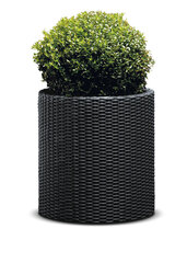 Горшок для цветов Large Cylinder Planter, серый цена и информация | Вазоны | 220.lv