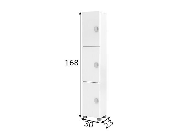 Augsts vannas istabas skapis Edia, balta cena un informācija | Vannas istabas skapīši | 220.lv