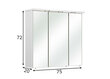 Spoguļstikla skapis ar LED apgaismojumu 37-II balta glancēta cena un informācija | Vannas istabas skapīši | 220.lv