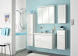Augsts vannas istabas skapis 316 balta glancēta cena un informācija | Vannas istabas skapīši | 220.lv
