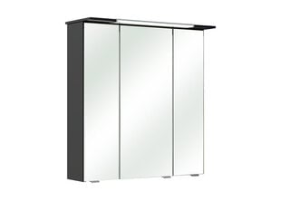 Зеркальный шкаф с LED-светильником 54-I антрацит цена и информация | Шкафчики для ванной | 220.lv