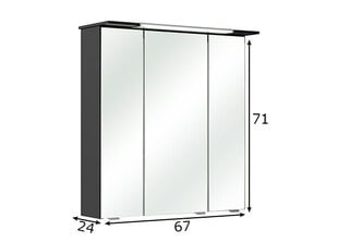 Зеркальный шкаф с LED-светильником 54-I антрацит цена и информация | Шкафчики для ванной | 220.lv