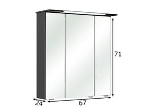 Spoguļstikla skapis ar LED apgaismojumu 54-I antracīta цена и информация | Шкафчики для ванной | 220.lv