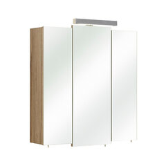 Зеркальный шкаф с LED-светильником 13-I дуб цена и информация | Шкафчики для ванной | 220.lv