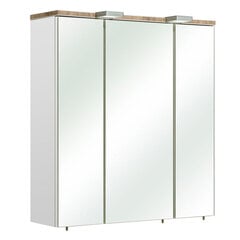 Зеркальный шкаф с LED-светильником 34 белый глянцевый цена и информация | Шкафчики для ванной | 220.lv