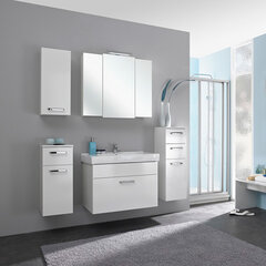 Apakšējais vannas istabas skapis 312 ar baltu spīdumu cena un informācija | Vannas istabas skapīši | 220.lv