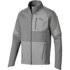 HOODIE PUMA EVOSTRIPE MOVE JACKET 84370303 цена и информация | Мужские толстовки | 220.lv