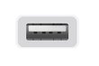 Apple USB-C to USB adapter - MJ1M2ZM/A cena un informācija | Adapteri un USB centrmezgli | 220.lv