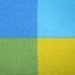 Piknika paklājs Nils Camp NC2221, 250x200 cm, daudzkrāsains цена и информация | Tūrisma matrači un paklājiņi | 220.lv