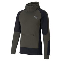 HOODIE PUMA EVOSTRIPE HOODIE 58346570 цена и информация | Мужские толстовки | 220.lv