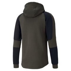 HOODIE PUMA EVOSTRIPE HOODIE 58346570 цена и информация | Мужские толстовки | 220.lv