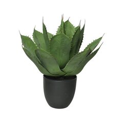 MĀKSLĪGAIS ZIEDS AGAVE 800332 50 CM cena un informācija | Mākslīgie ziedi | 220.lv