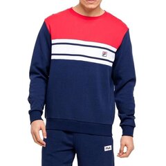 HOODIE FILA BETTOLLE CREW NECK FAM007253010 цена и информация | Мужские толстовки | 220.lv