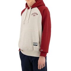 Džemperis champion rochester hooded sweatshirt 216571em005 cena un informācija | Vīriešu jakas | 220.lv