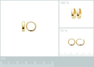 Серьги с золотым покрытием 750°, ⌀ 1.2 см, произведено во Франции цена и информация | Серьги | 220.lv