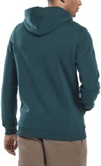 Мужской джемпер Reebok Ri Left Chest Logo HJ9939 HJ9939/XL, зеленый цена и информация | Мужские толстовки | 220.lv