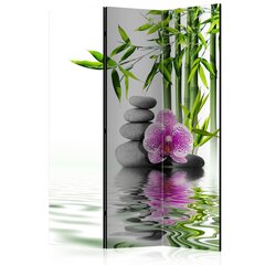 Aizslietnis - Water Garden [Room Dividers] цена и информация | Мобильные стенки | 220.lv